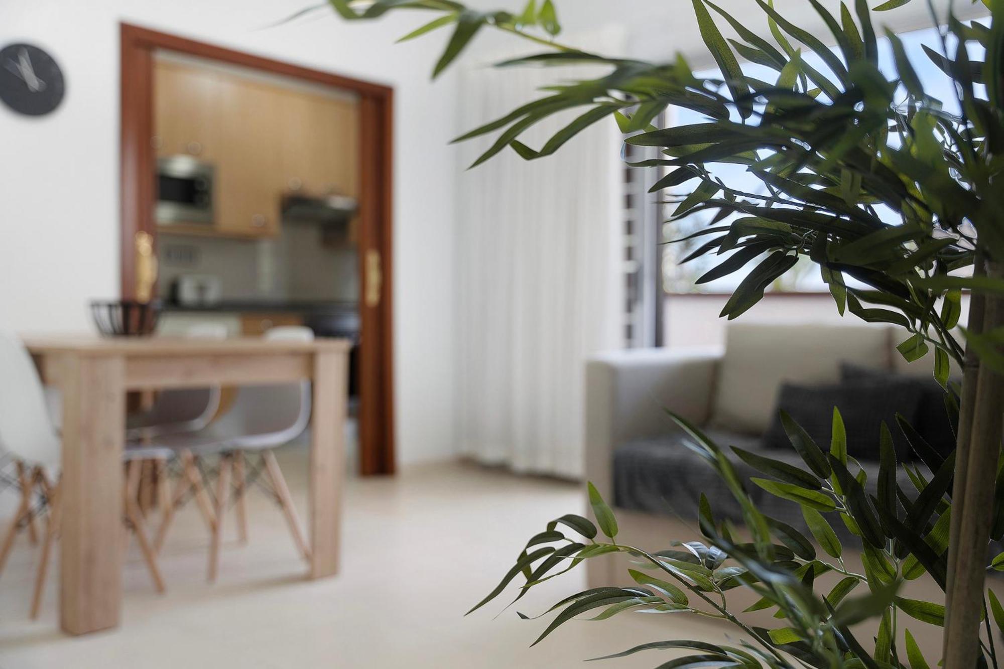 Apartamento Opuntia La Orotava Εξωτερικό φωτογραφία